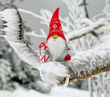Weihnachtskarte mit einem Zwerg